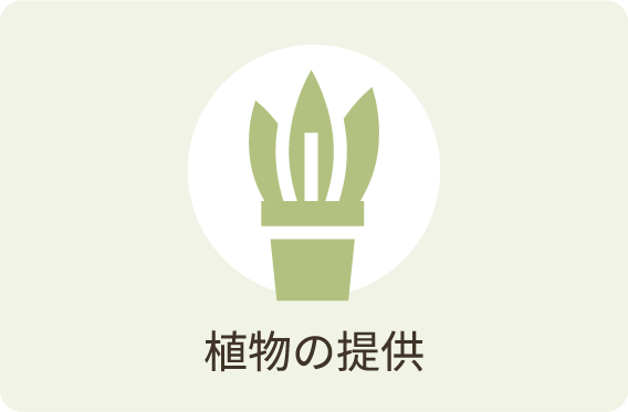 植物の提供