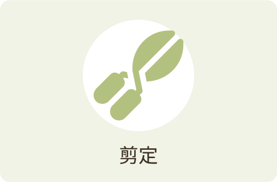 剪定